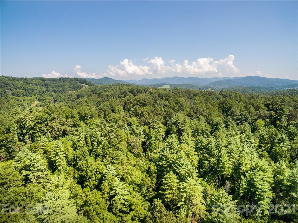 999 Windswept Ridge Road Marshall, NC 28753 - Photo 16 of 18 Gallery Image 16