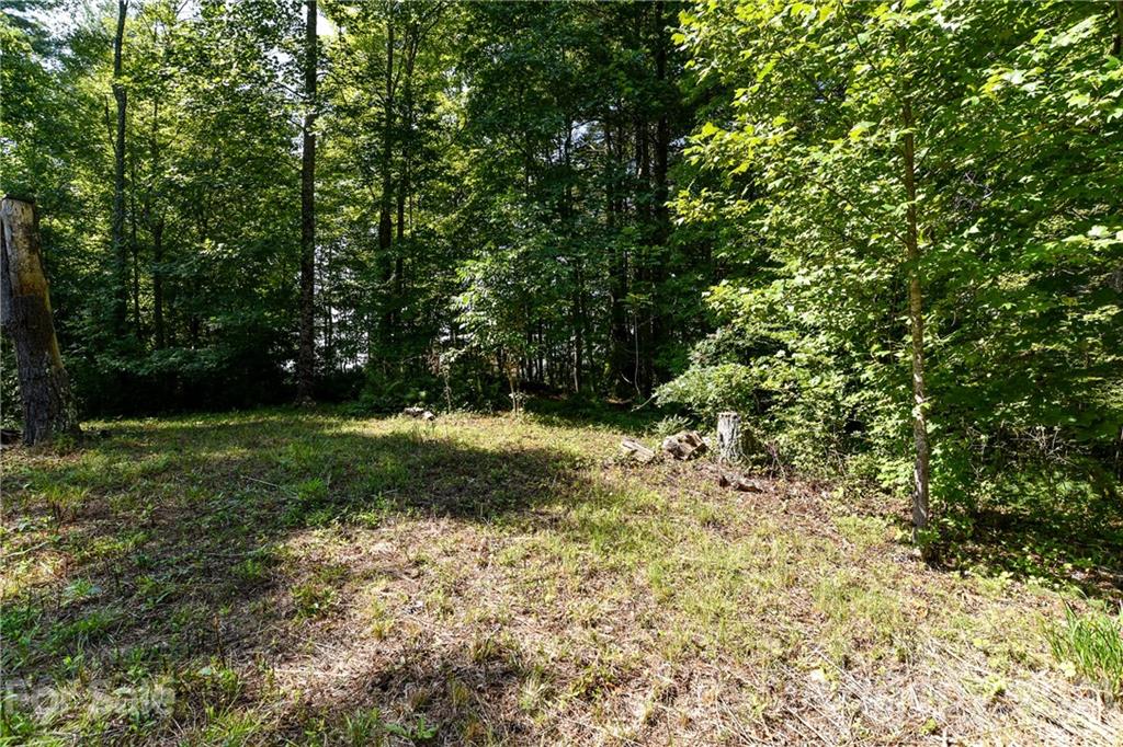 999 Windswept Ridge Road Marshall, NC 28753 - Photo 3 of 18 Gallery Image 3