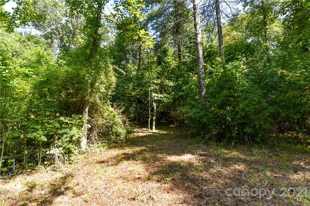 999 Windswept Ridge Road Marshall, NC 28753 - Photo 4 of 18 Gallery Image 4