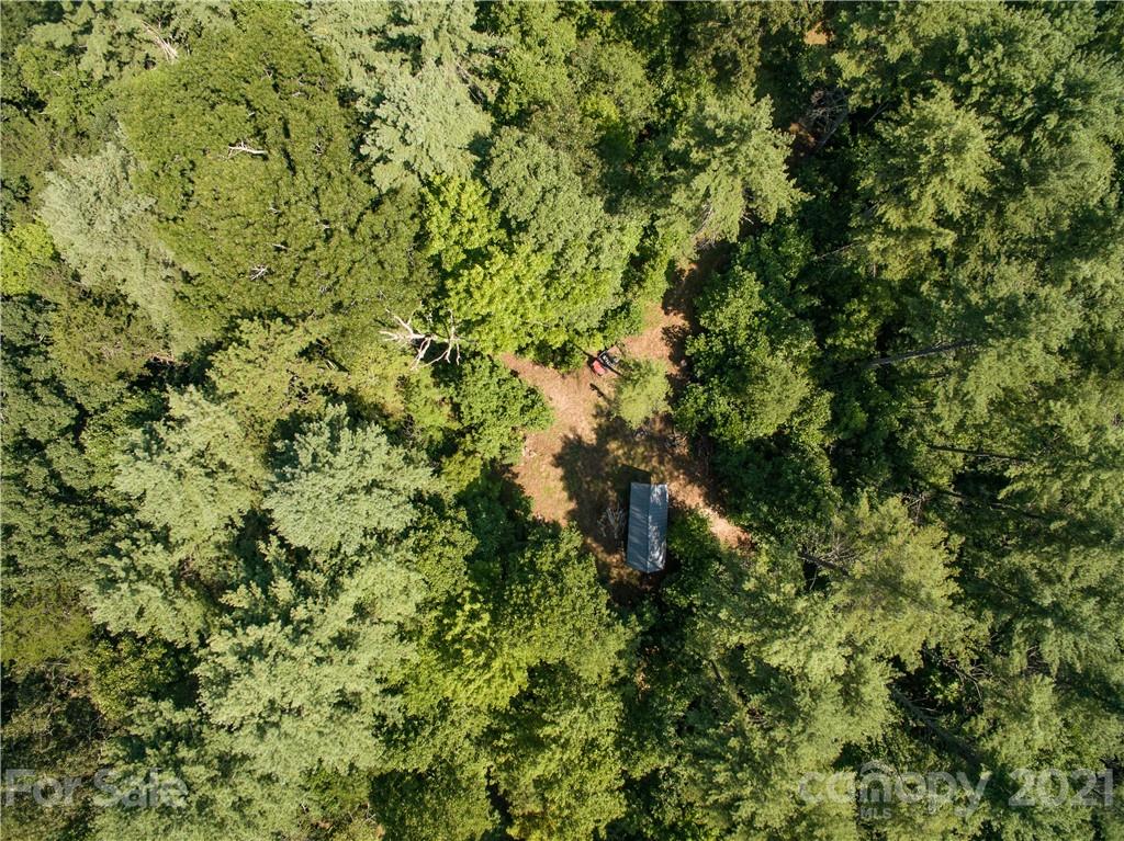 999 Windswept Ridge Road Marshall, NC 28753 - Photo 7 of 18 Gallery Image 7