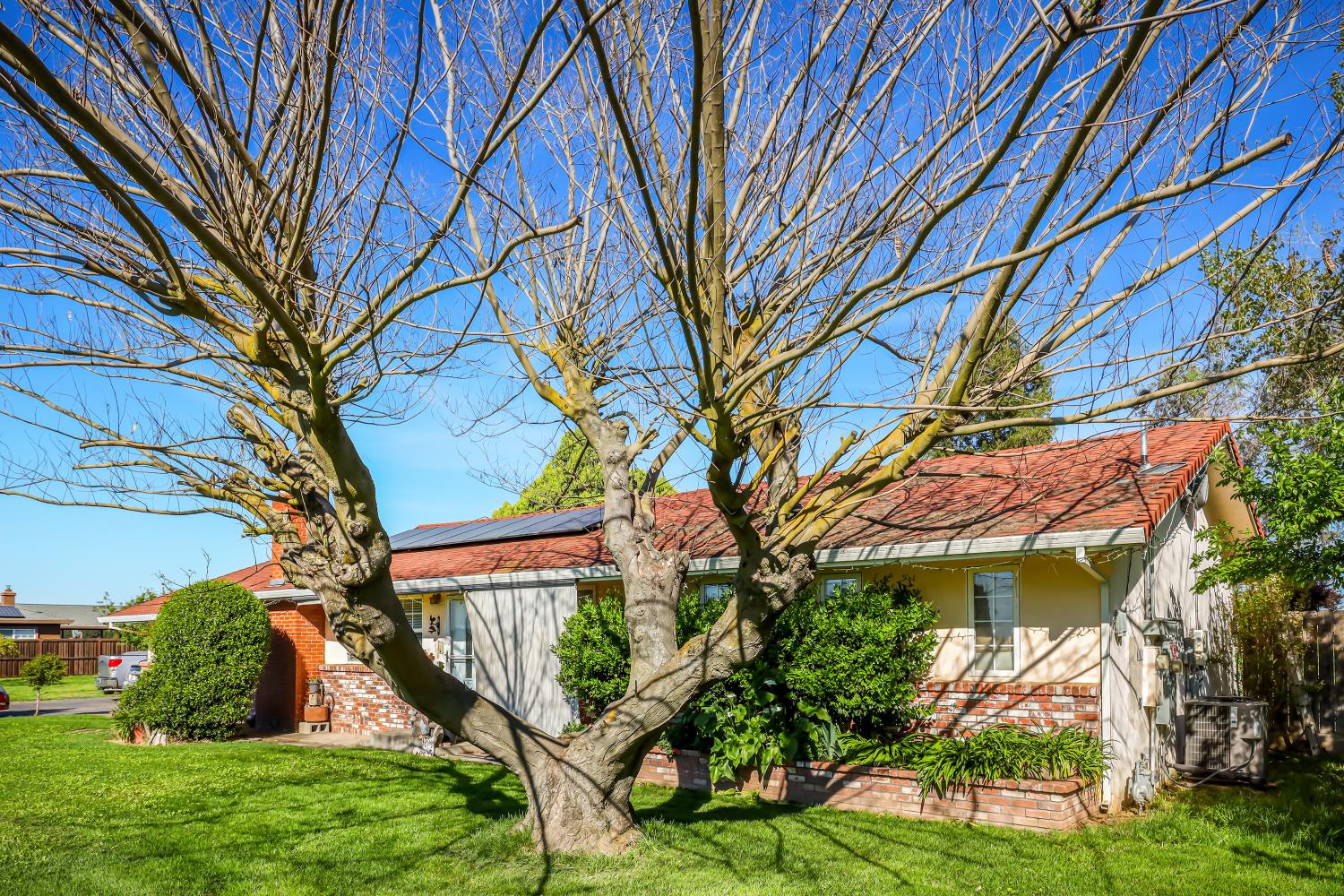 23404 Bruella Road Acampo, CA 95220 - Photo 12 of 69 a view of a house with a tree