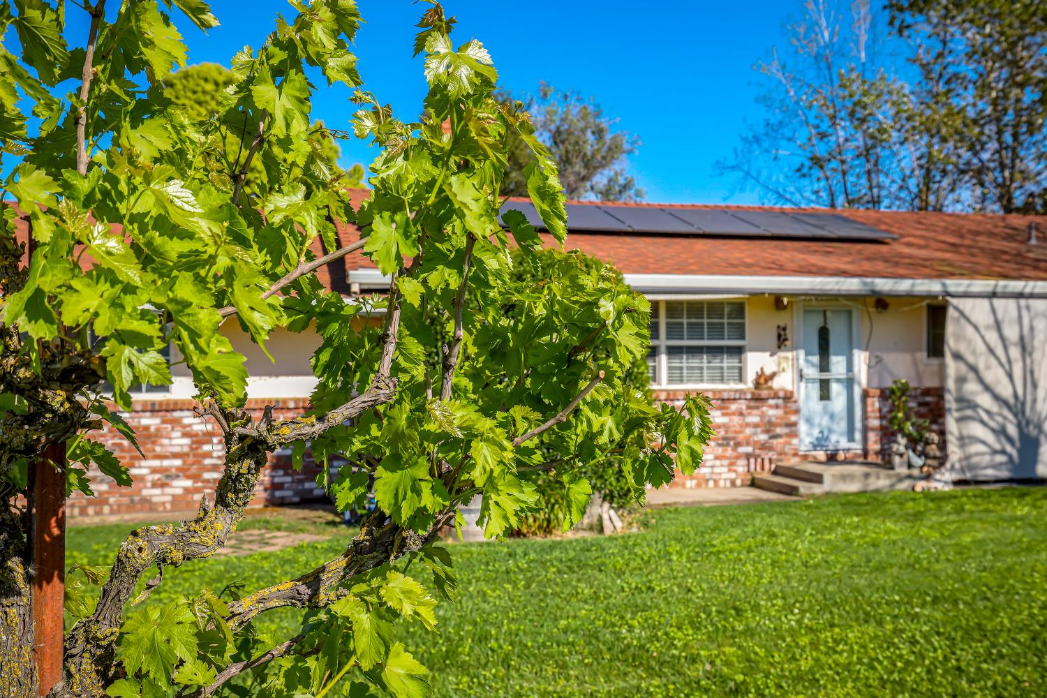 23404 Bruella Road Acampo, CA 95220 - Photo 13 of 69 a view of a patio with table and chairs and potted plants