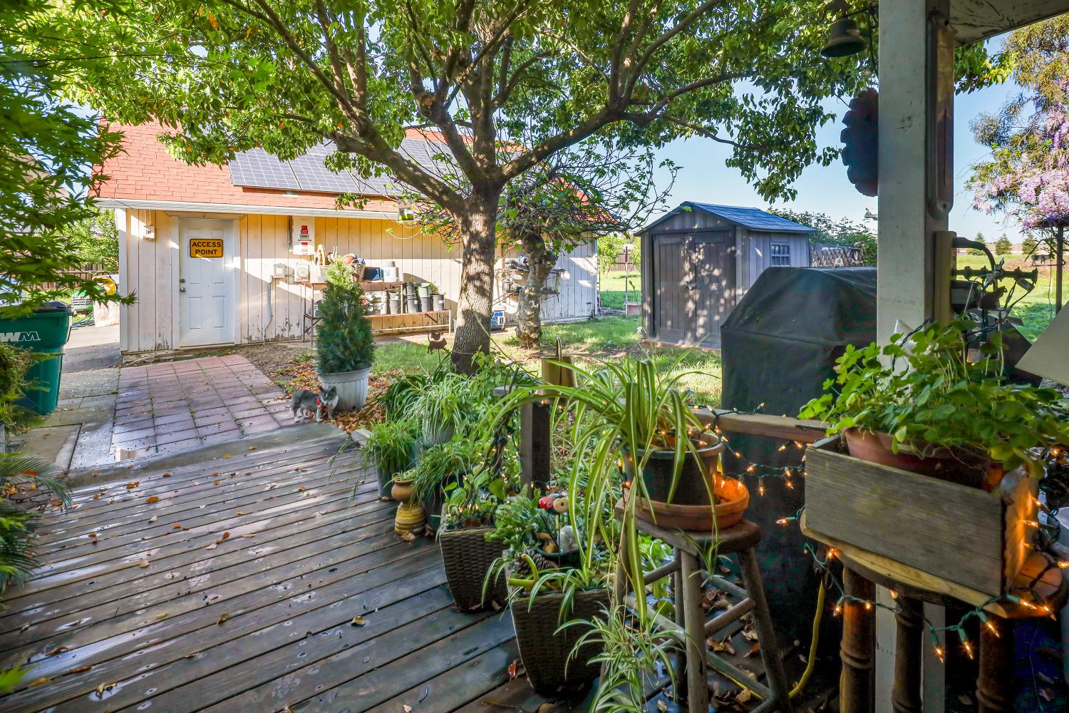 23404 Bruella Road Acampo, CA 95220 - Photo 25 of 69 a front view of a house with a yard