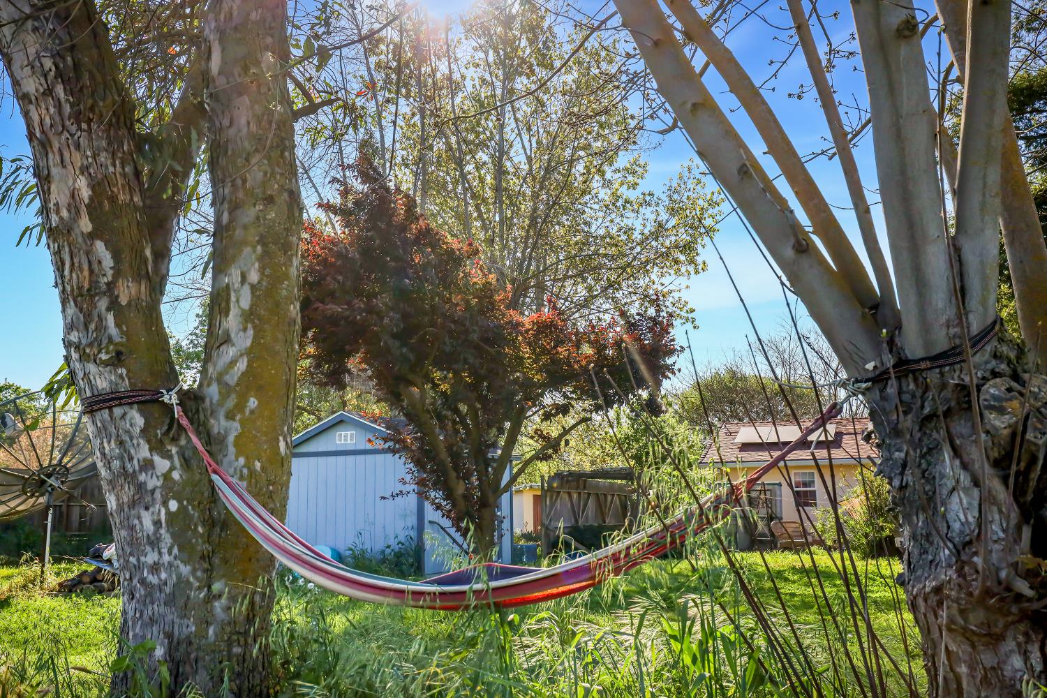 23404 Bruella Road Acampo, CA 95220 - Photo 55 of 69