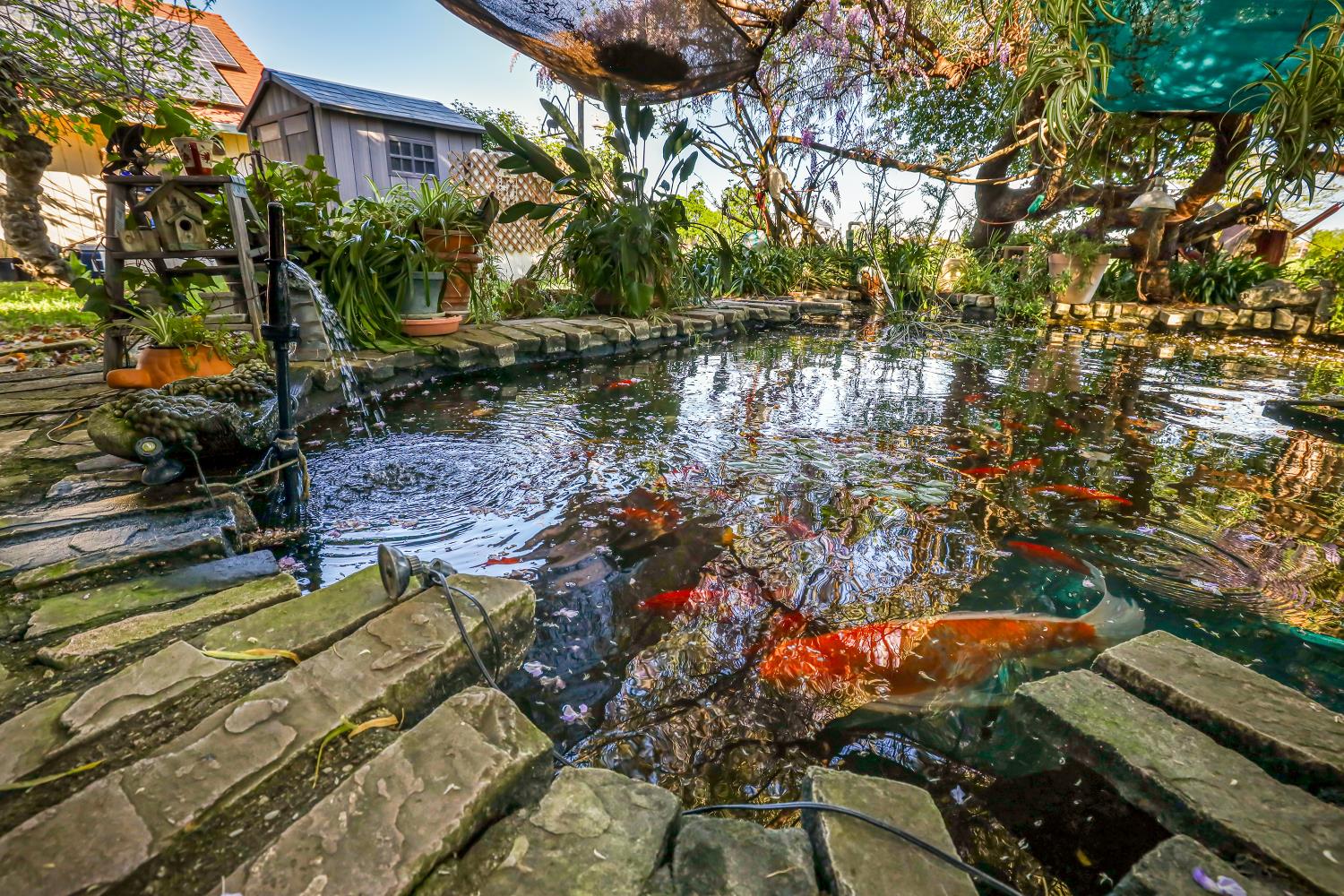 23404 Bruella Road Acampo, CA 95220 - Photo 57 of 69 a view of swimming pool with a yard