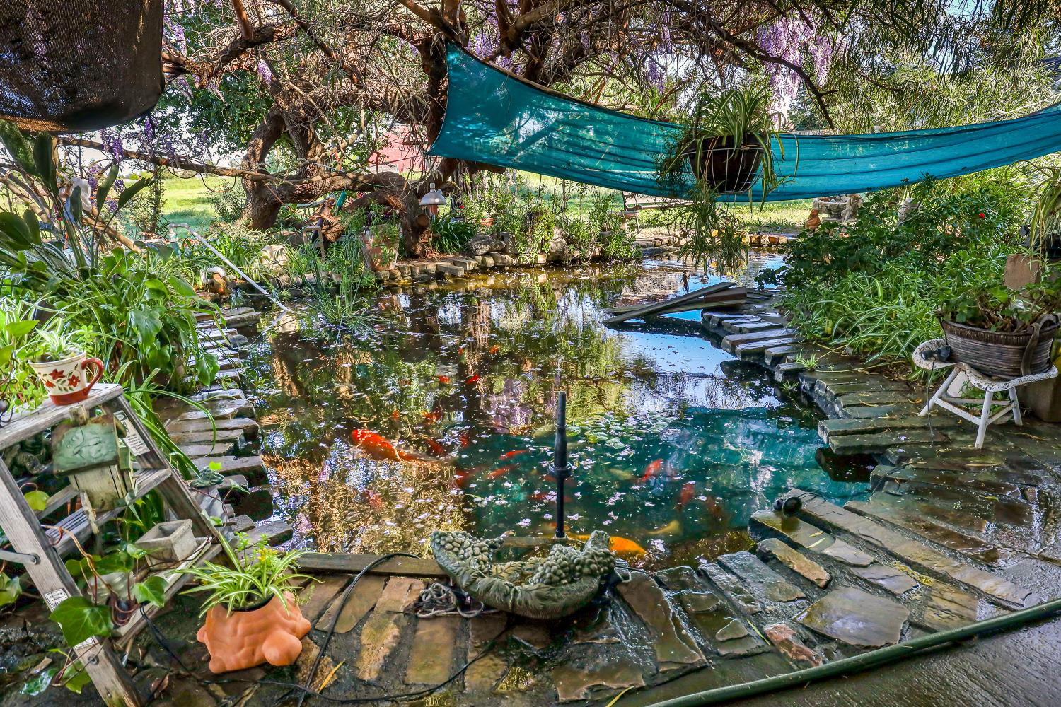 23404 Bruella Road Acampo, CA 95220 - Photo 58 of 69 a backyard of a house with lots of green space