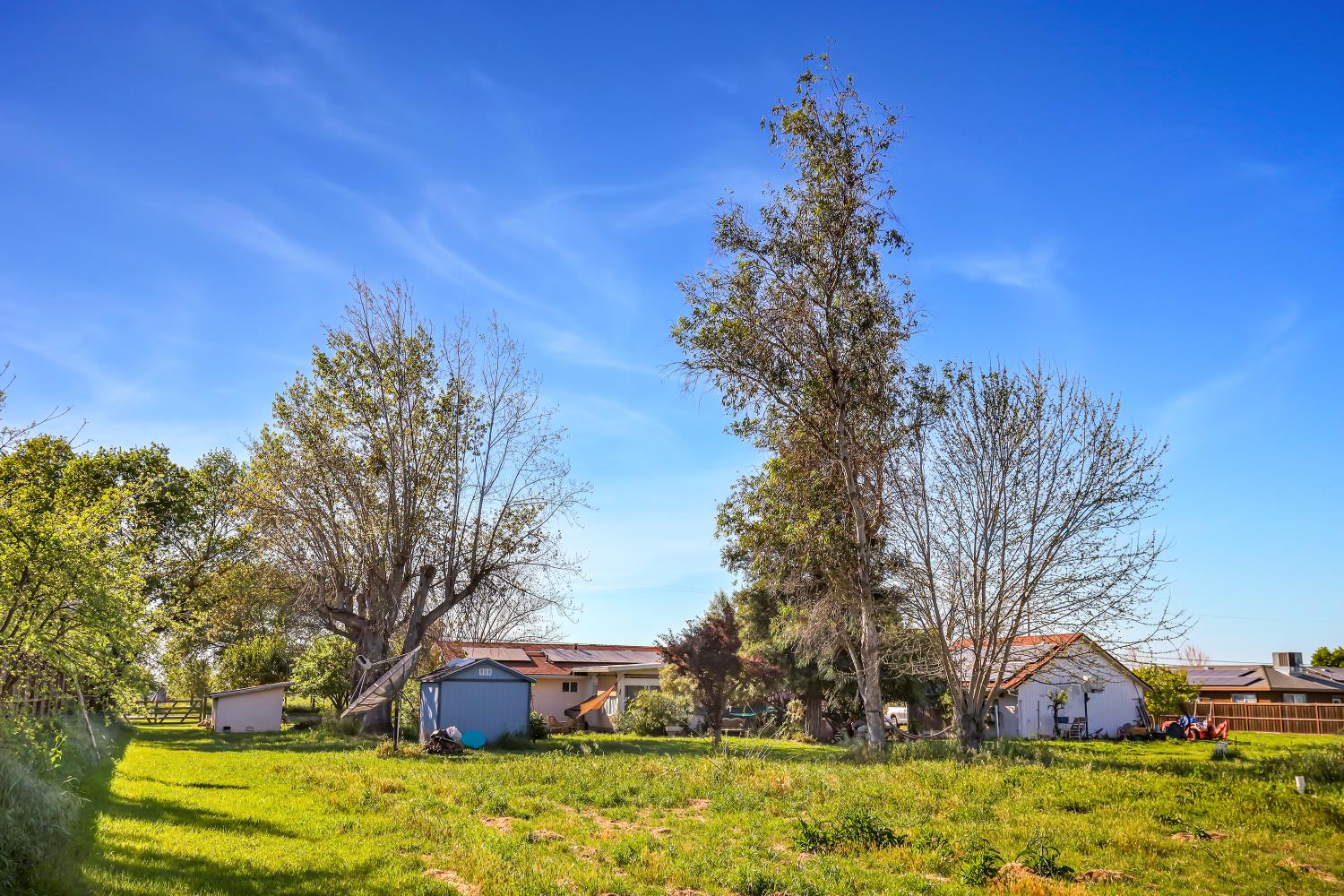 23404 Bruella Road Acampo, CA 95220 - Photo 64 of 69 a front view of a house with a yard covered with trees