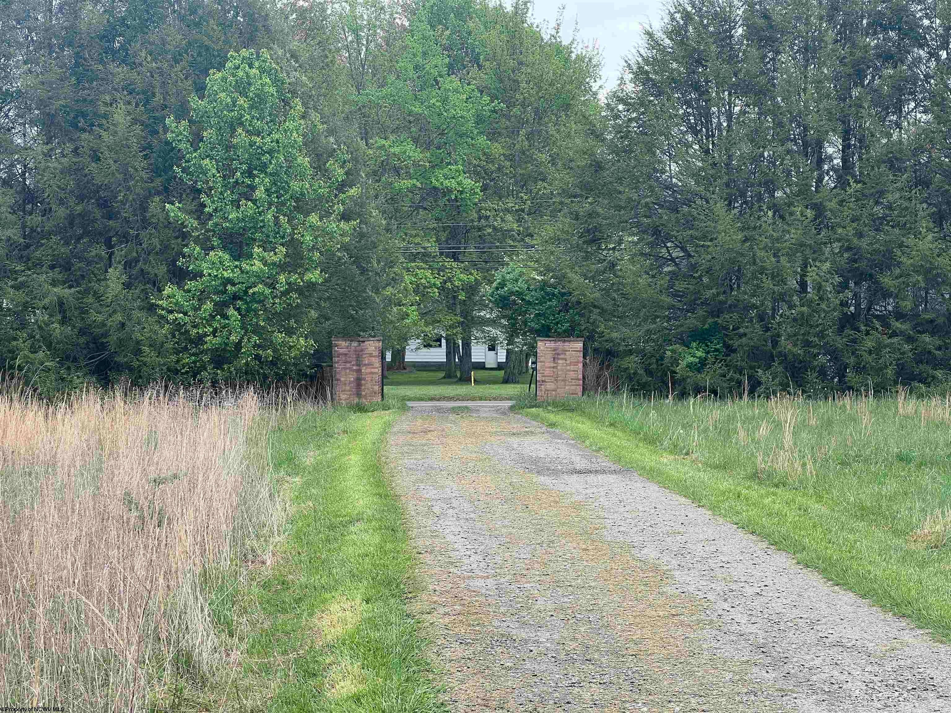 Tbd Chenoweth Creek Road Elkins, WV 26241 - Photo 1 of 11 Gallery Image 1