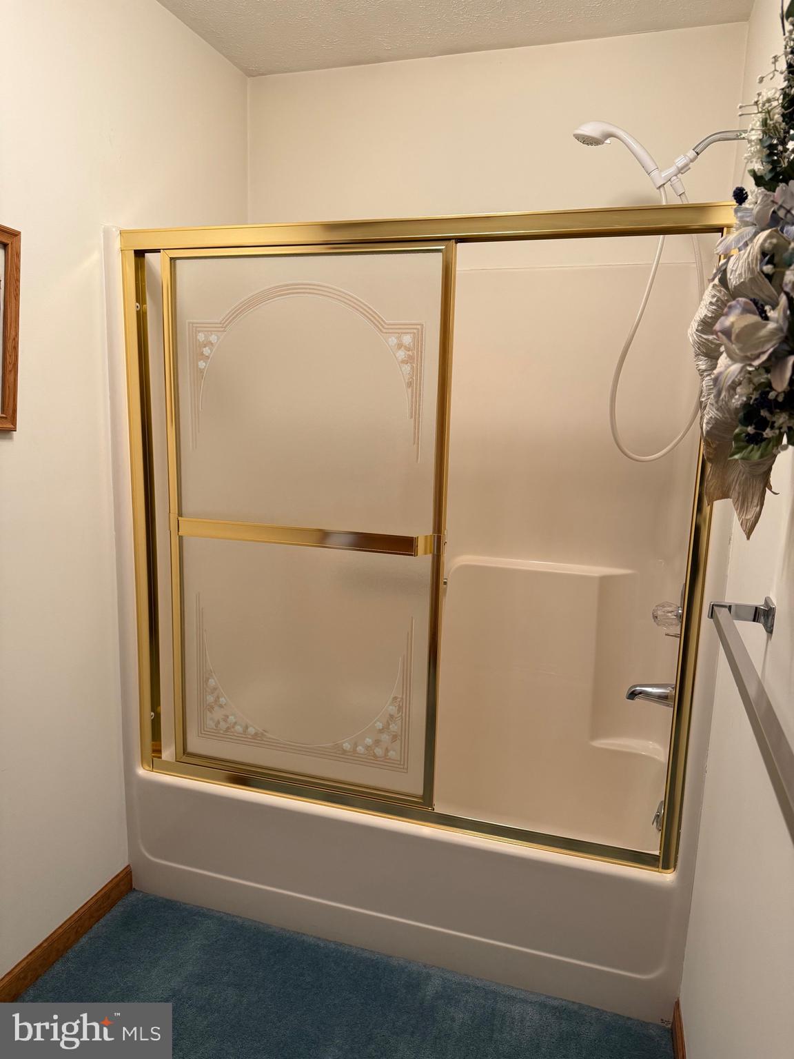 992 Silver Lane Berkeley Springs, WV 25411 - Photo 22 of 44 a bathroom with a glass shower door