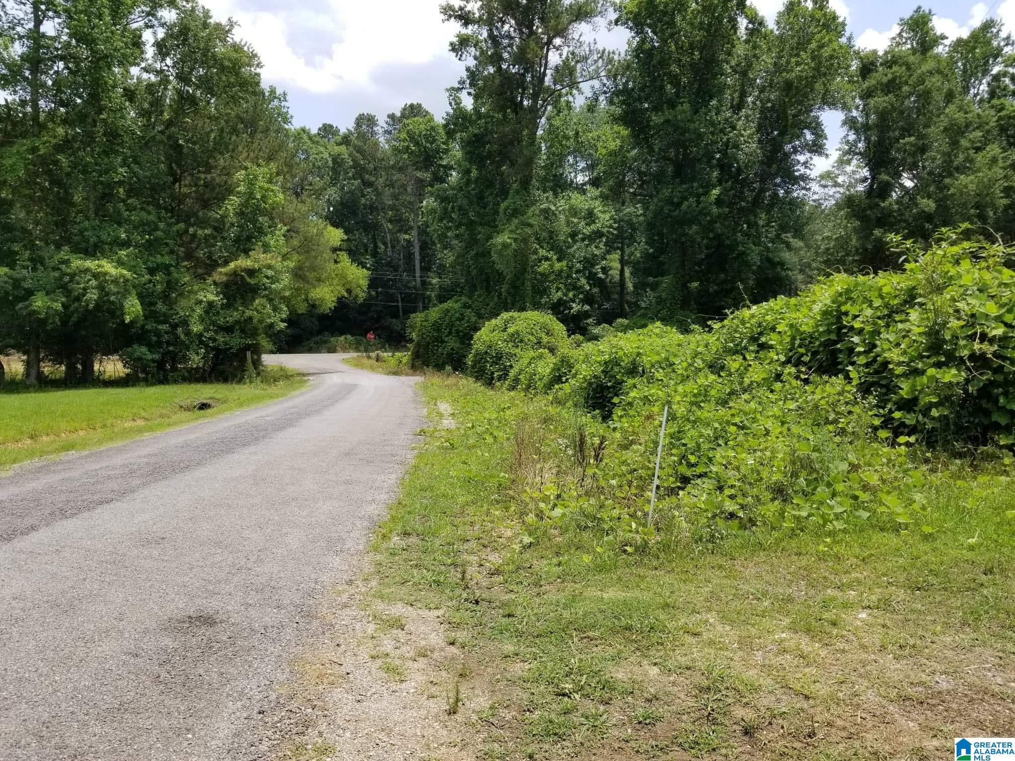 Honeycutt Road Remlap, AL 35133 - Photo 23 of 24