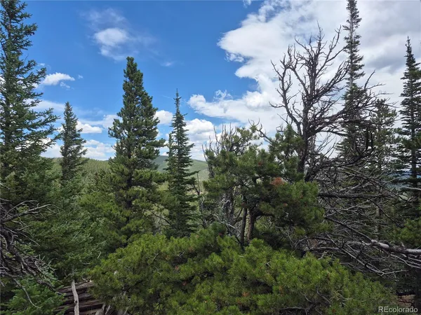 a view of a city with lush green forest