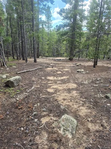 a view of outdoor space with trees