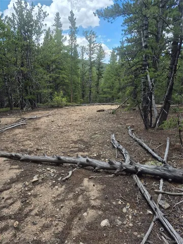 a view of a dry yard with trees and stairs