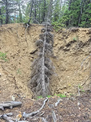 a view of a backyard of a house