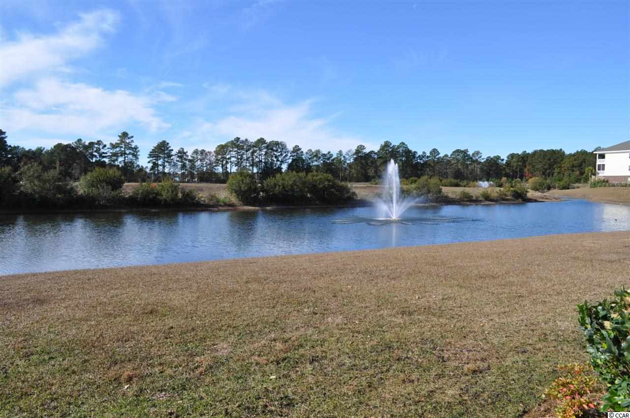 318 Kiskadee Loop, Unit C Conway, SC 29526 - Photo 4 of 7 Gallery Image 4