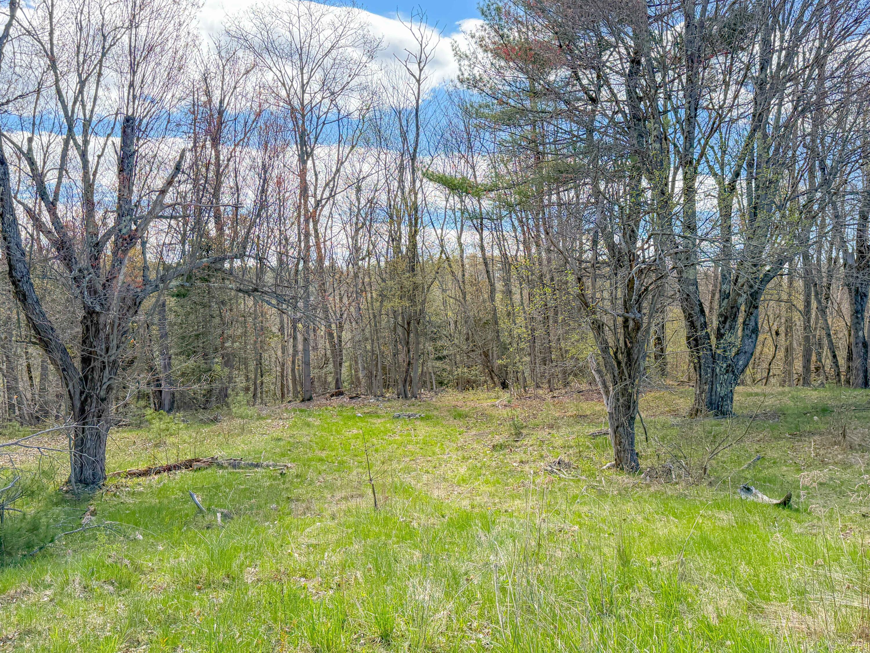 140 Pleasant Street Thorndike, ME 04986 - Photo 51 of 67 140 Pleasant St Freedom -50