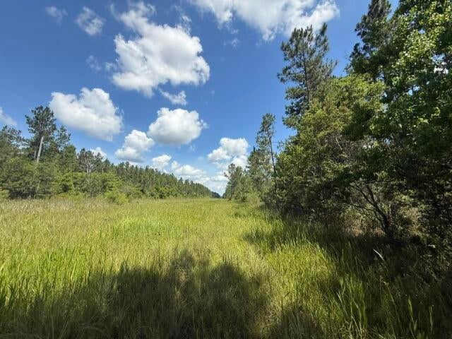 0 Elmer Hamilton Road Moss Point, MS 39562 - Photo 4 of 22 Gallery Image 4