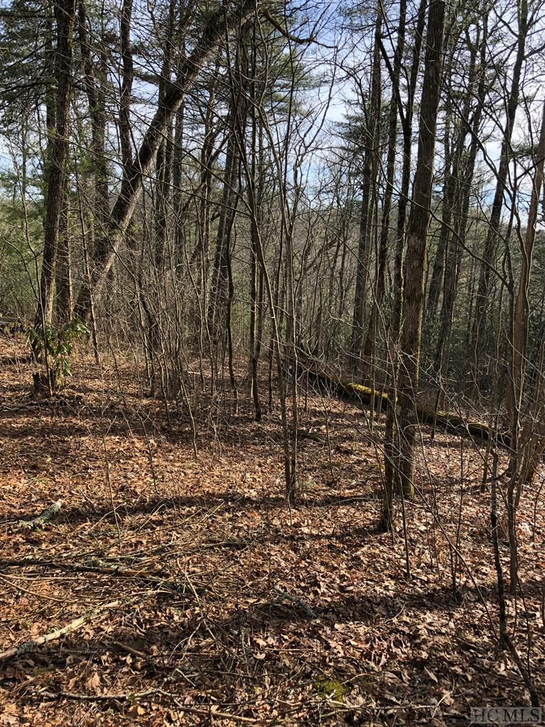 0 Wyanoak Road Highlands, NC 28741 - Photo 1 of 1 Gallery Image 1
