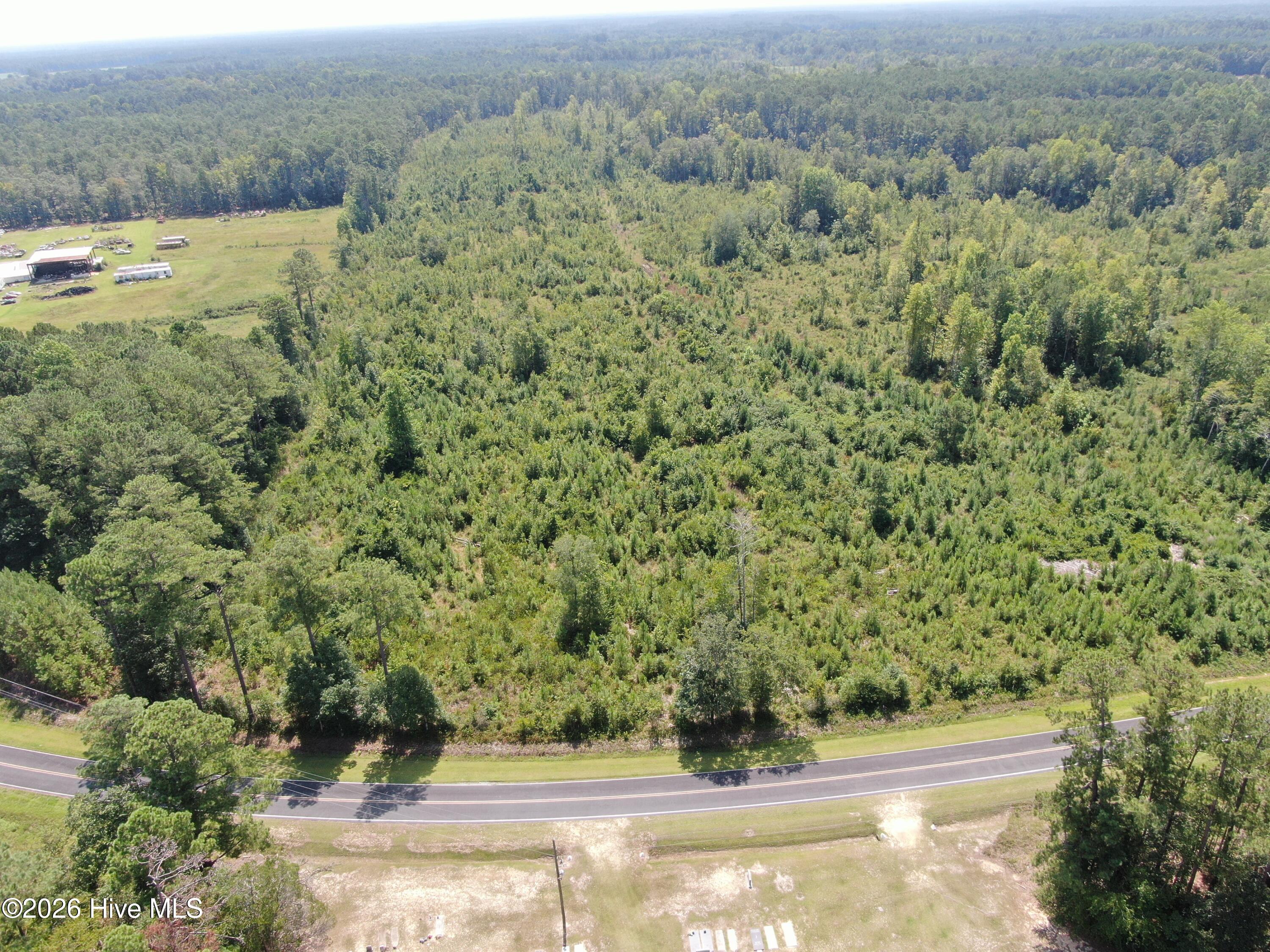 Tbd Sarah Peterson Road Council, NC 28434 - Photo 17 of 18 Gallery Image 17