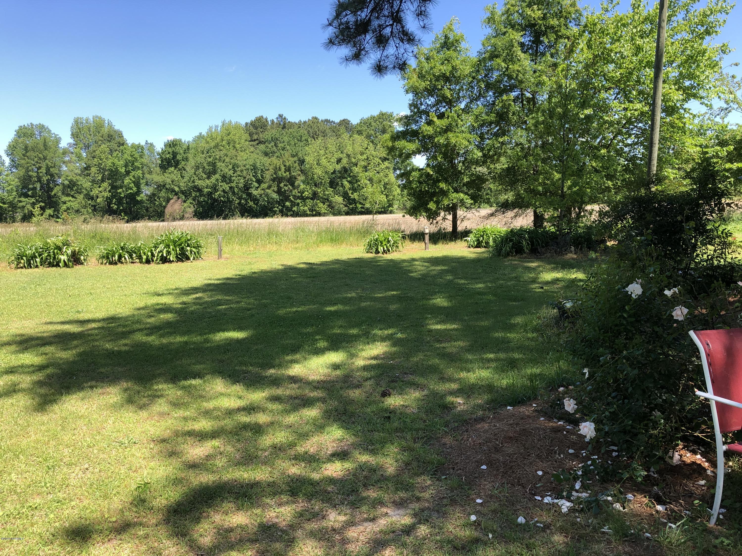 255 Edwards Fork Road Scotland Neck, NC 27874 - Photo 29 of 29 Backyard