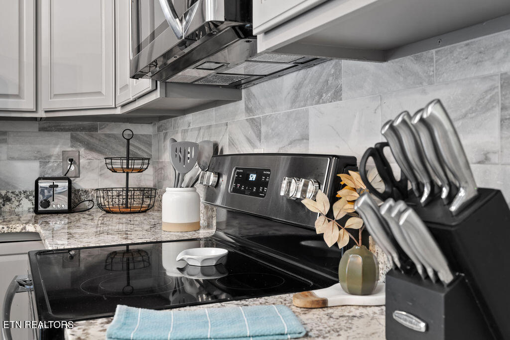 1608 Mitchell Farm Road Pigeon Forge, TN 37876 - Photo 22 of 52 DSC01955