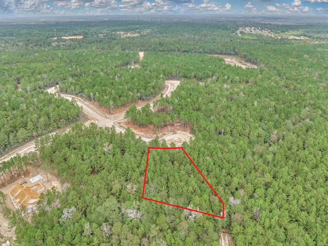 a small yard with large trees and a wooden fence