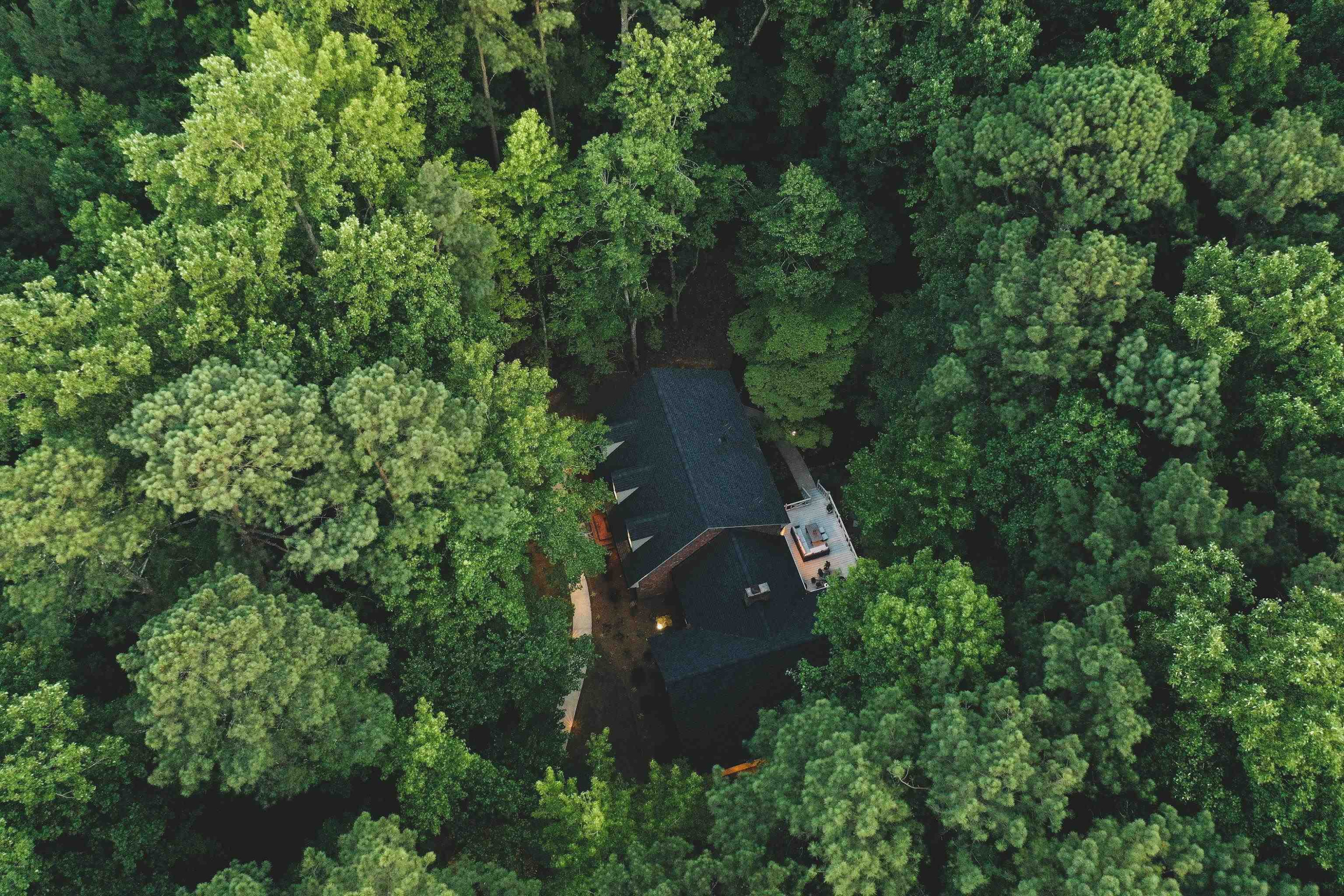 5025 Red Cedar Road Raleigh, NC 27613 - Photo 16 of 75 Photo 16