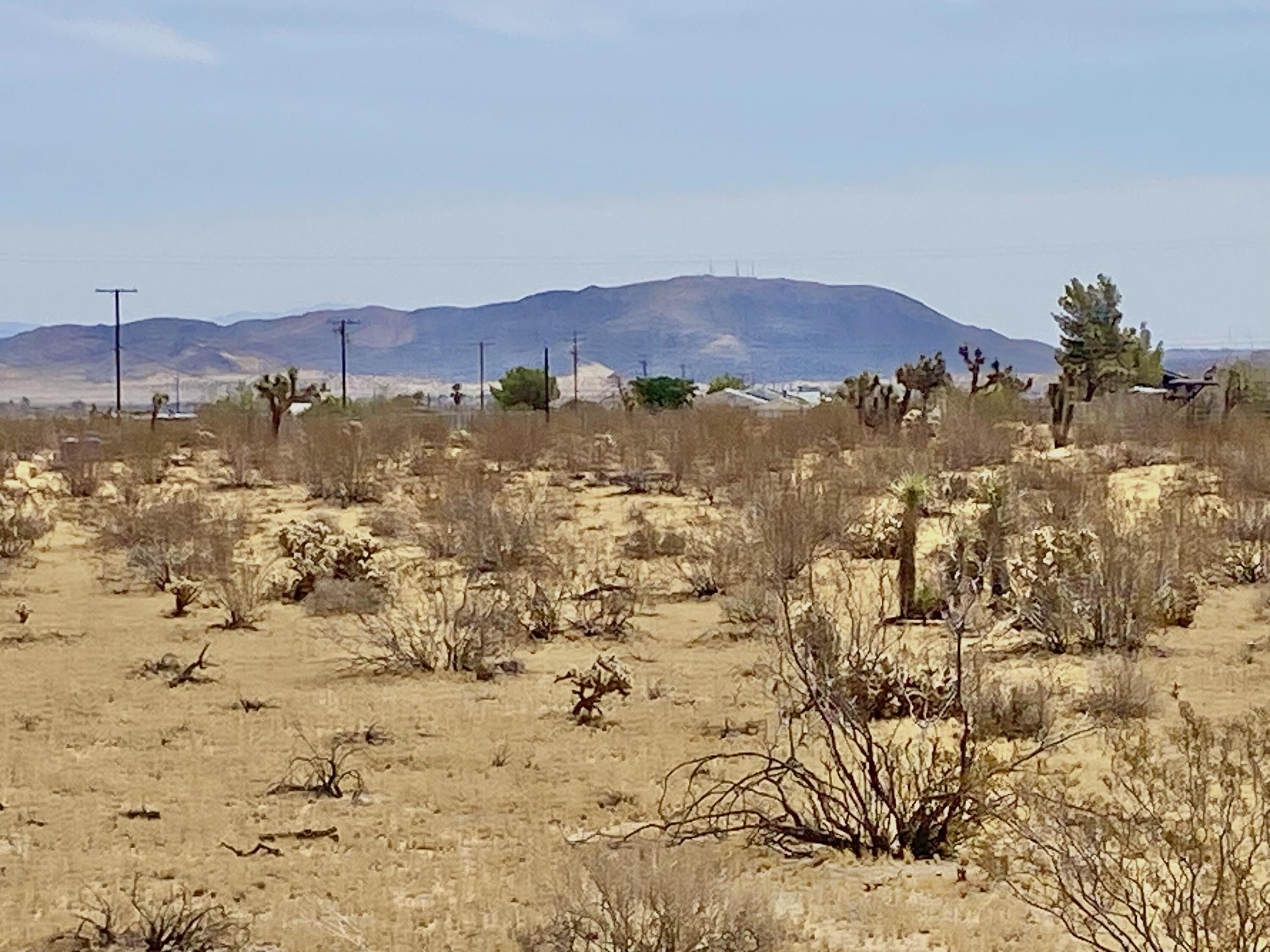 62585 2 Mile Road Joshua Tree, CA 92252 - Photo 42 of 66 IMG_9238