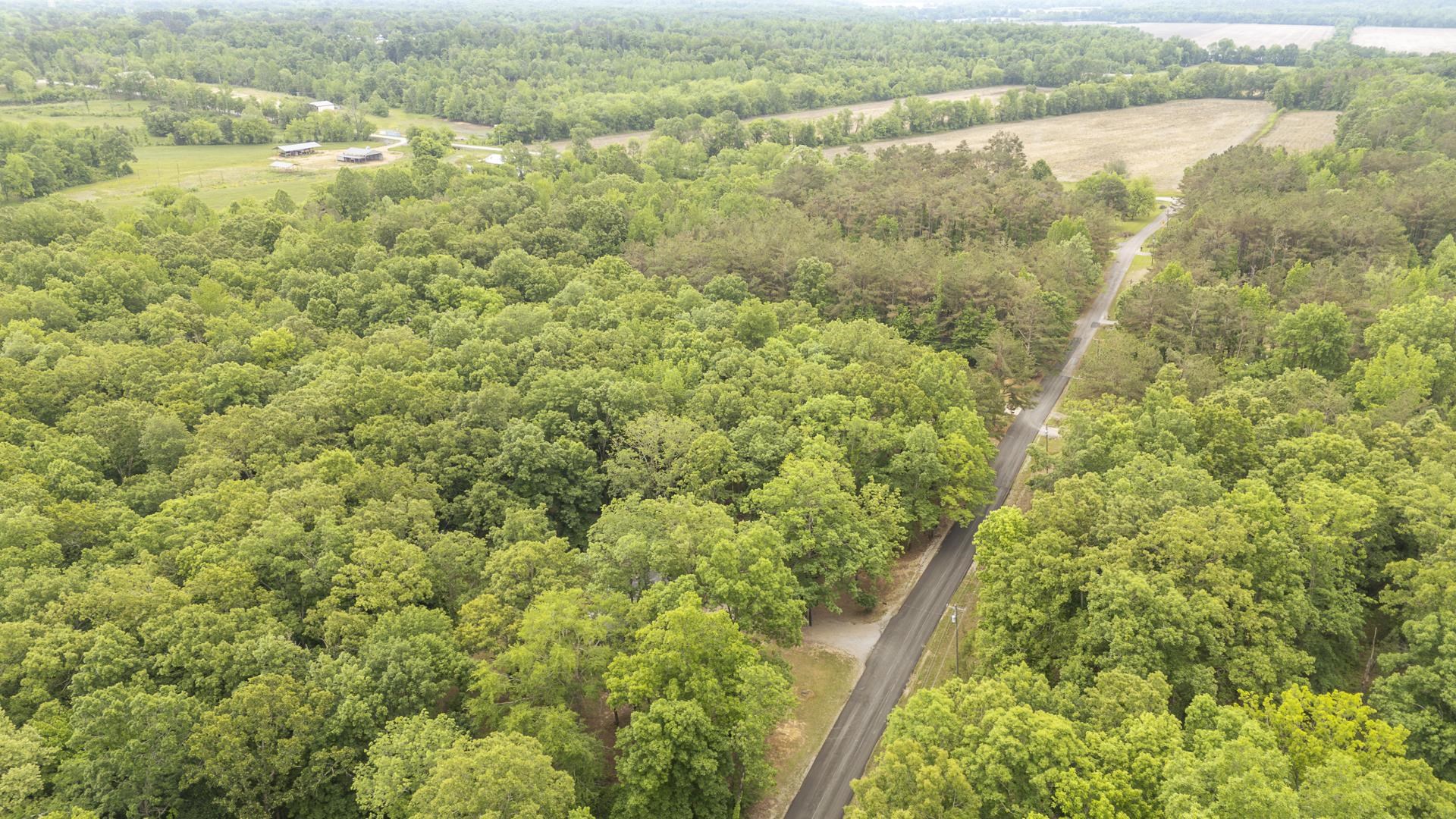 259 Oakview Drive Adamsville, TN 38310 - Photo 32 of 32 Expansive property featuring mature deciduous and evergreen trees, a paved road, and a distant field