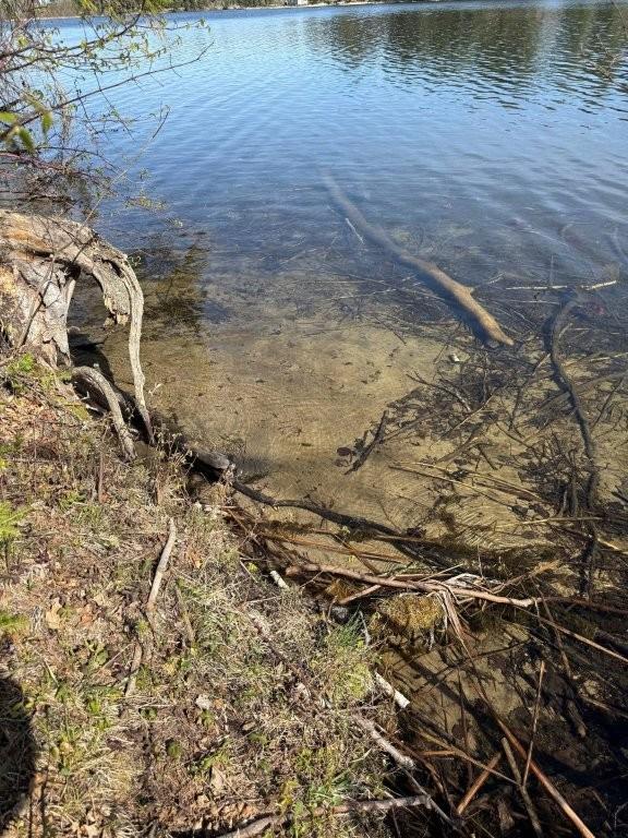 0 Power Dam Road Northeast Bemidji, MN 56601 - Photo 2 of 13