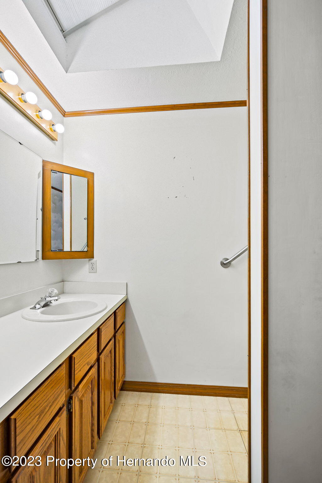 8458 Beach Spring Hill Spring Hill, FL 34606 - Photo 26 of 52 26-web-or-mls-DSC_5722
