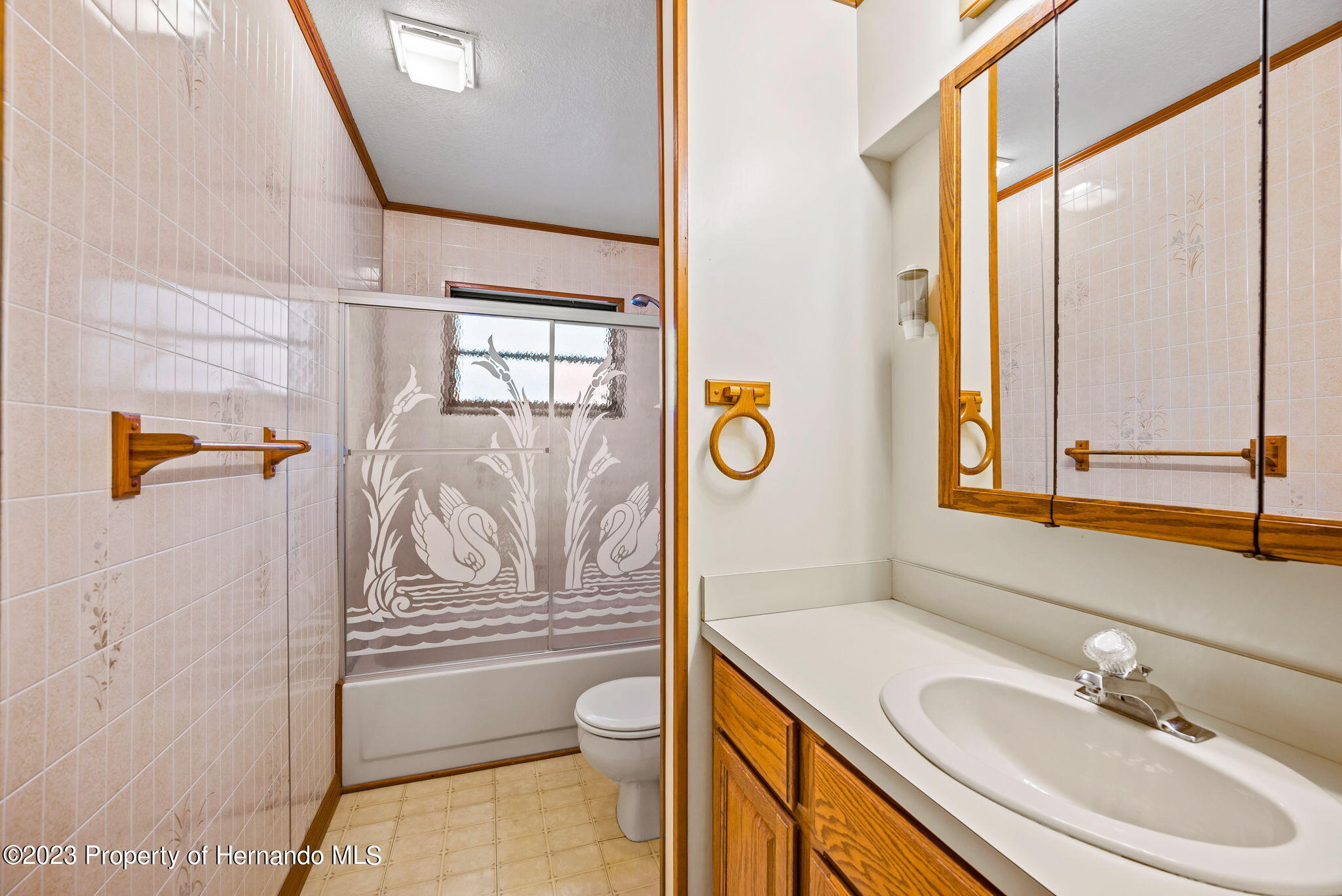 8458 Beach Spring Hill Spring Hill, FL 34606 - Photo 38 of 52 38-web-or-mls-DSC_5773