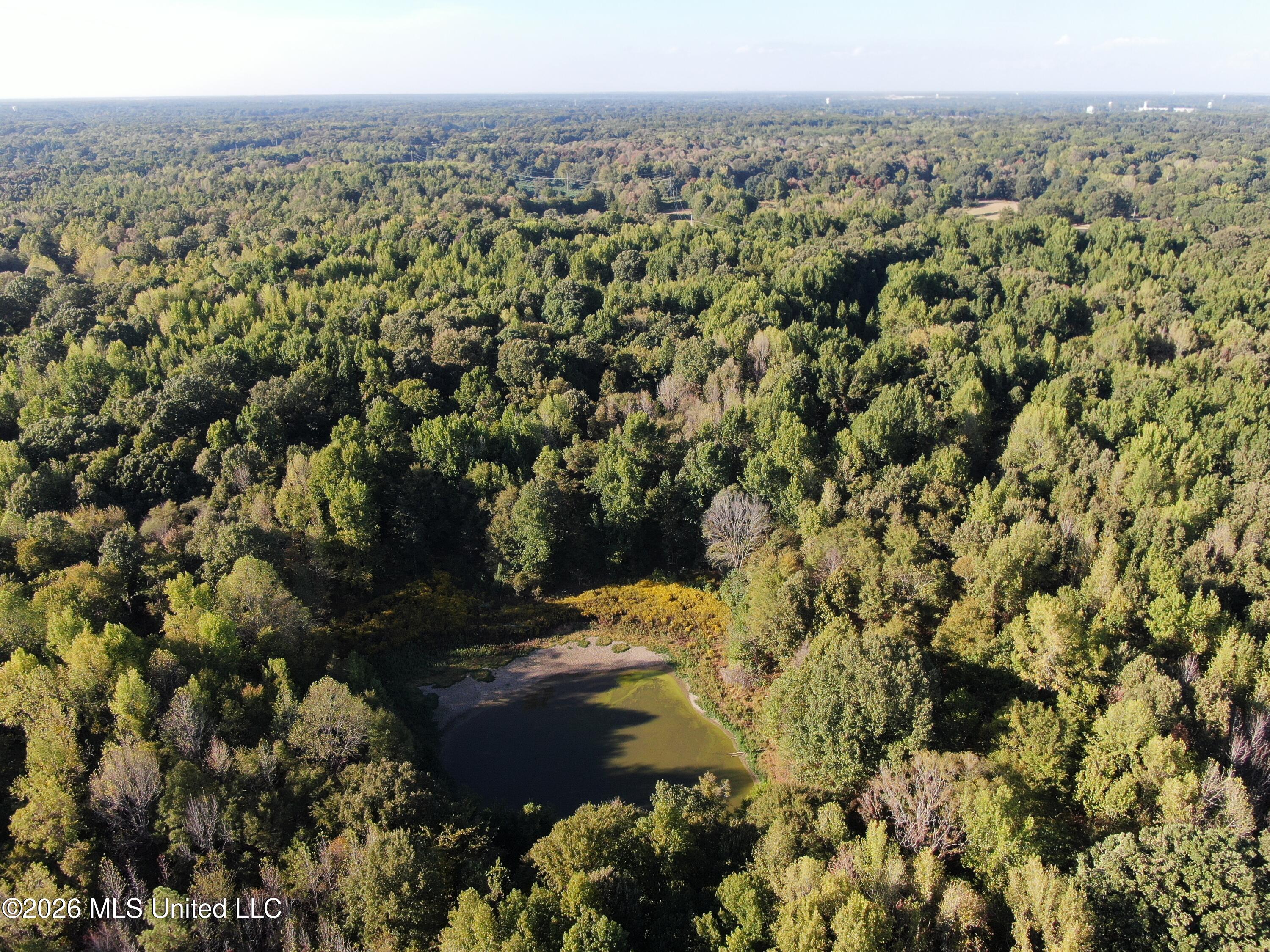 15 Tulane Road Nesbit, MS 38651 - Photo 17 of 64 DJI_0231