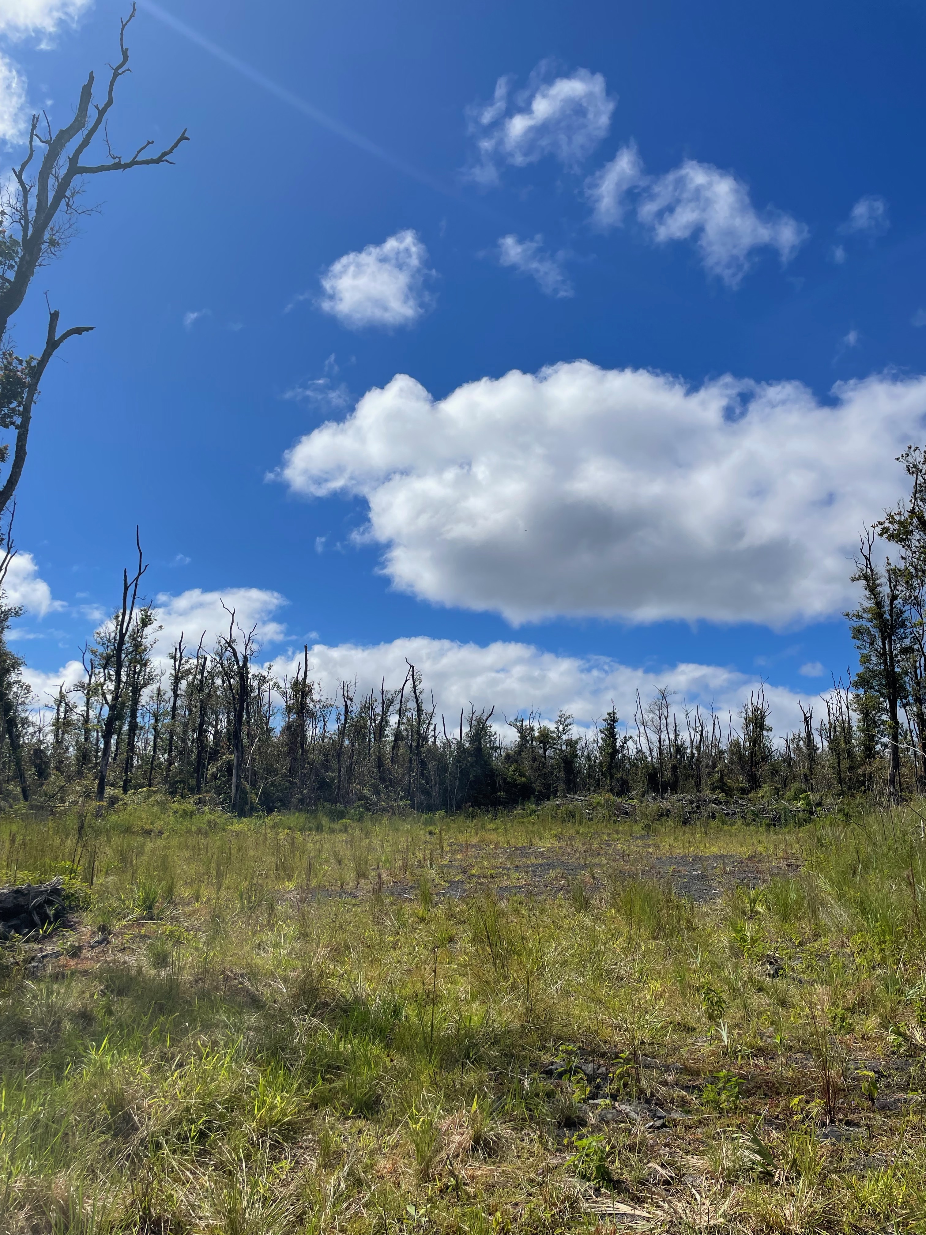 16 Makoa Road Pahoa, HI 96778 - Photo 1 of 14