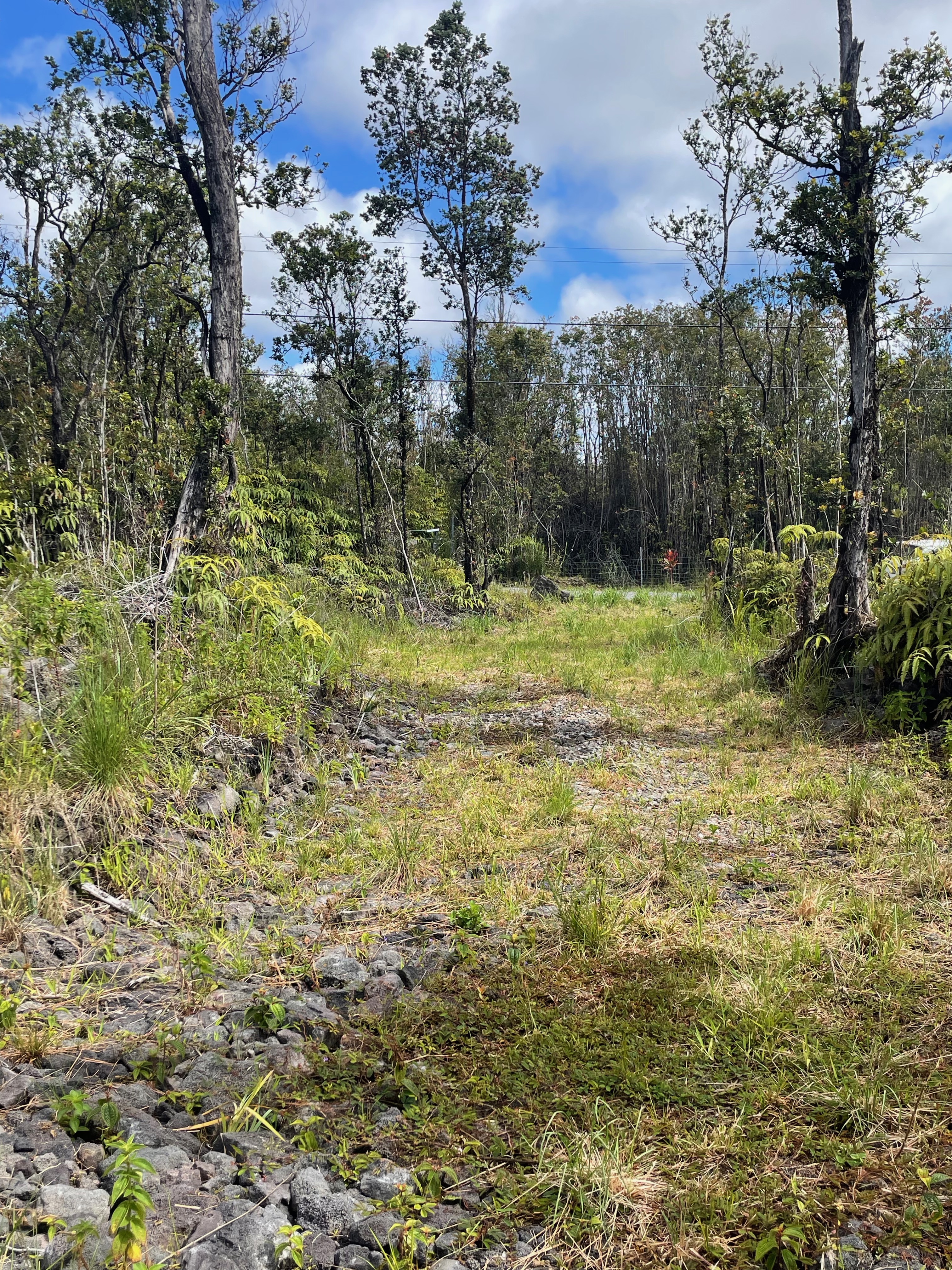 16 Makoa Road Pahoa, HI 96778 - Photo 12 of 14