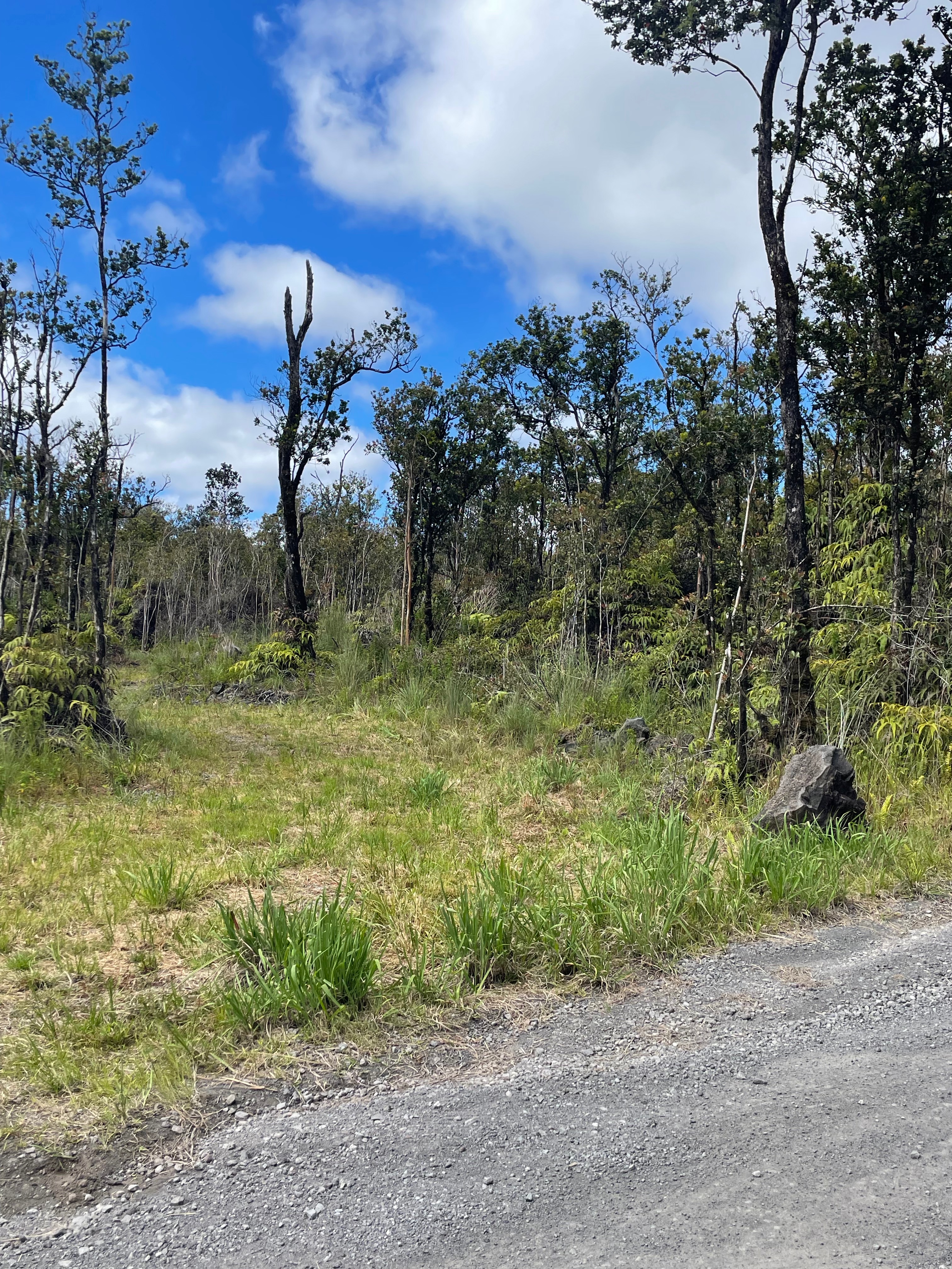 16 Makoa Road Pahoa, HI 96778 - Photo 13 of 14