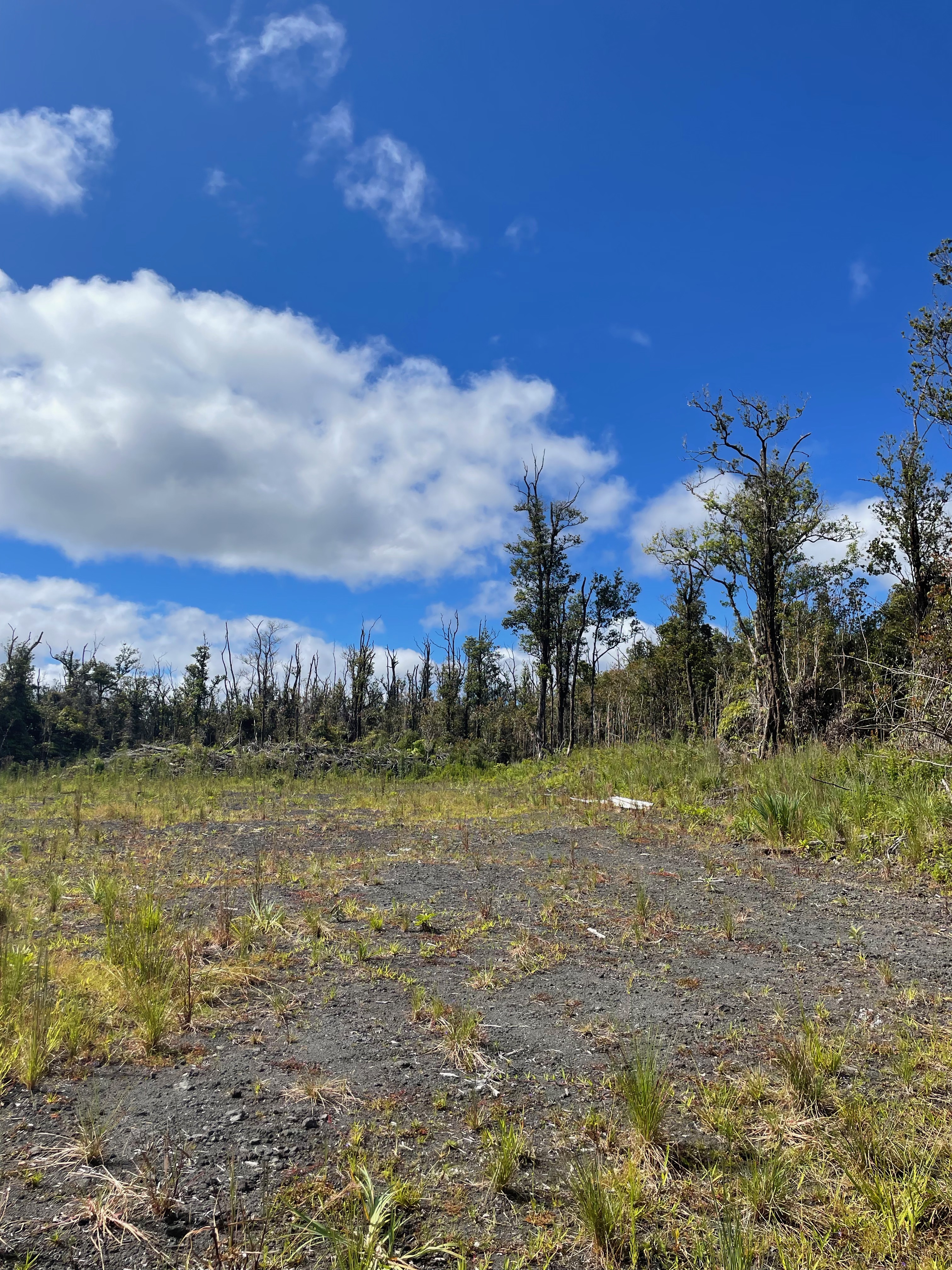 16 Makoa Road Pahoa, HI 96778 - Photo 5 of 14