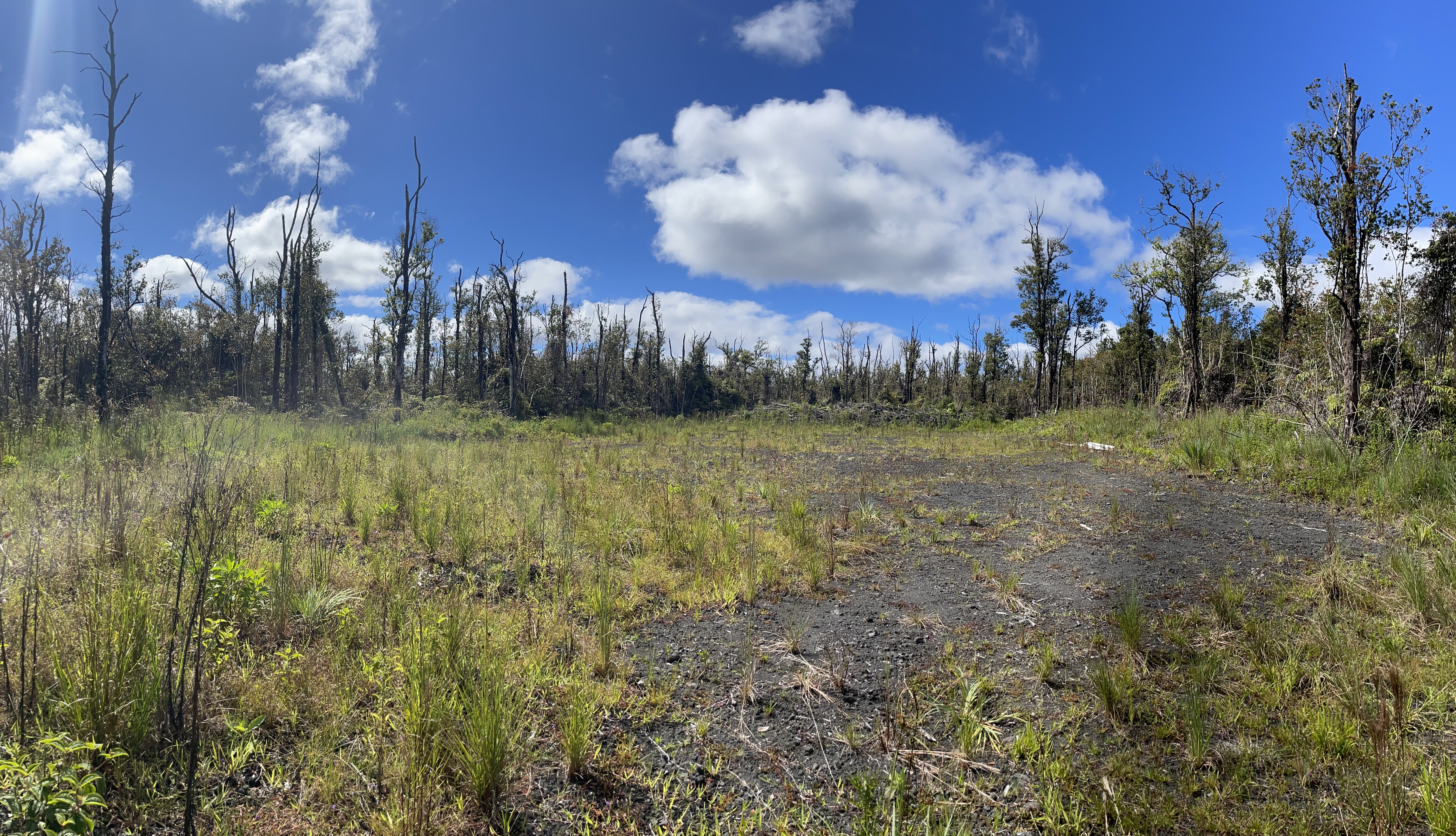 16 Makoa Road Pahoa, HI 96778 - Photo 6 of 14