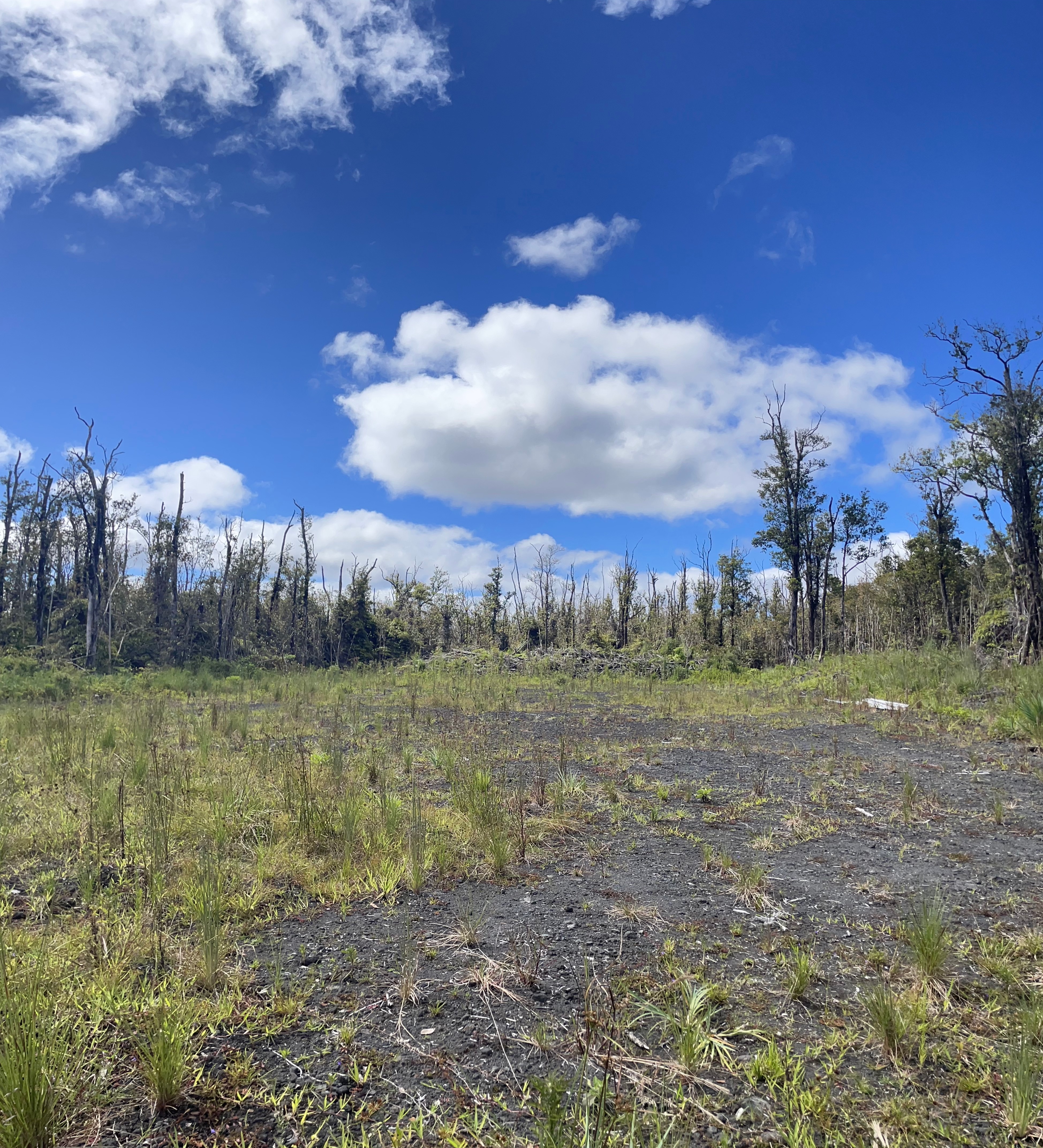 16 Makoa Road Pahoa, HI 96778 - Photo 7 of 14