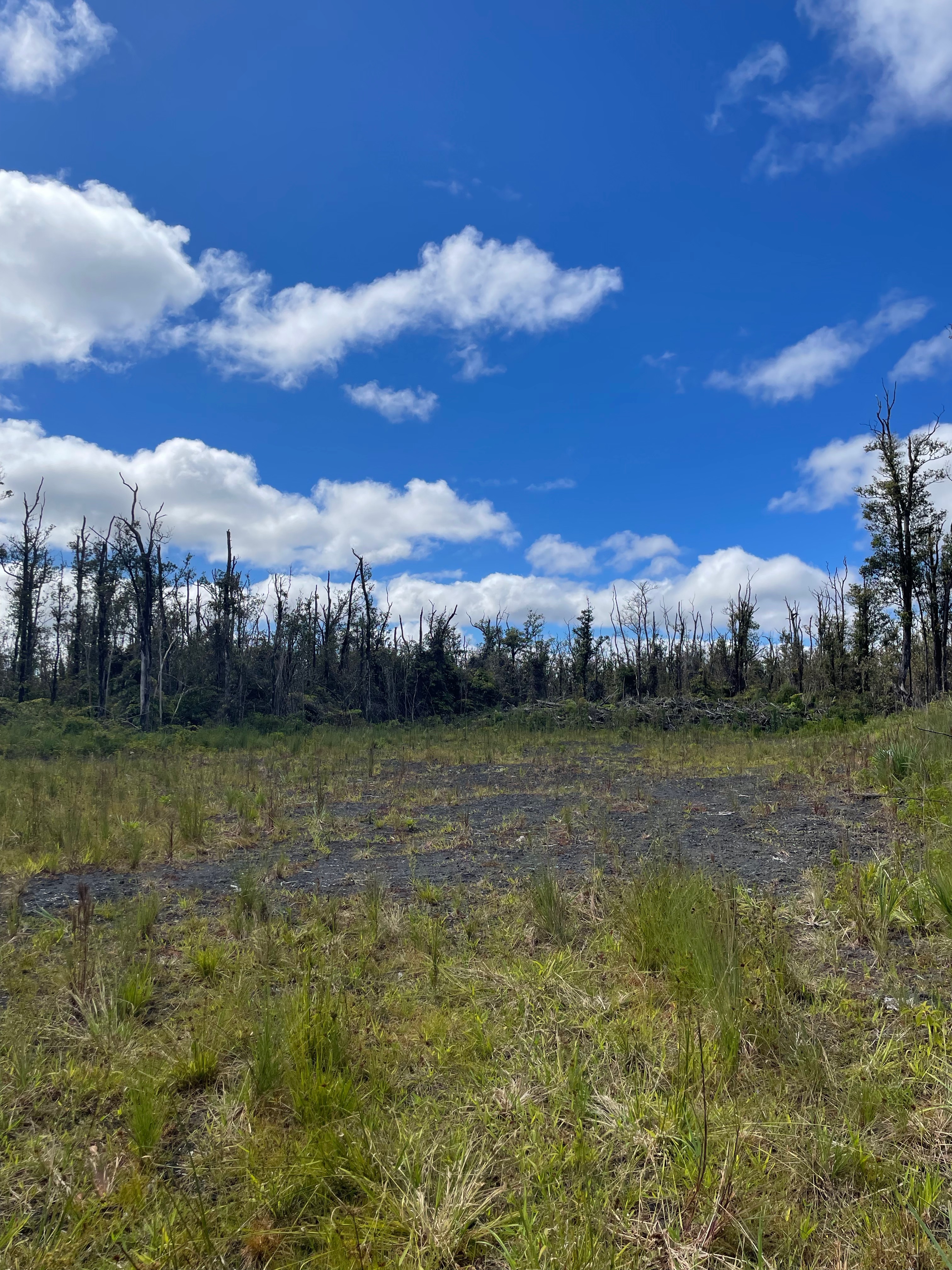 16 Makoa Road Pahoa, HI 96778 - Photo 10 of 14