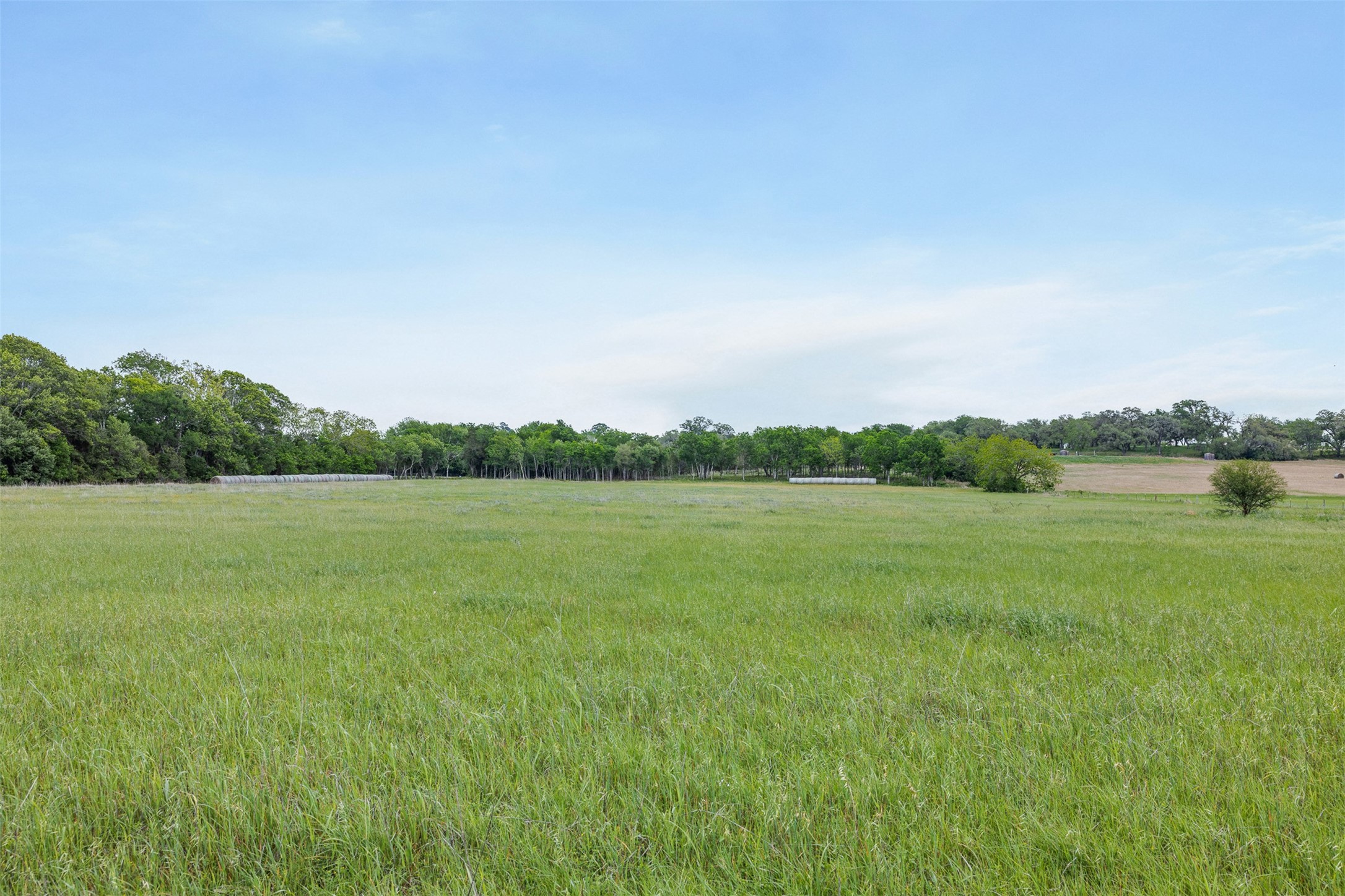 Tbd Bauer Rummel Road Round Top, TX 78954 - Photo 12 of 30