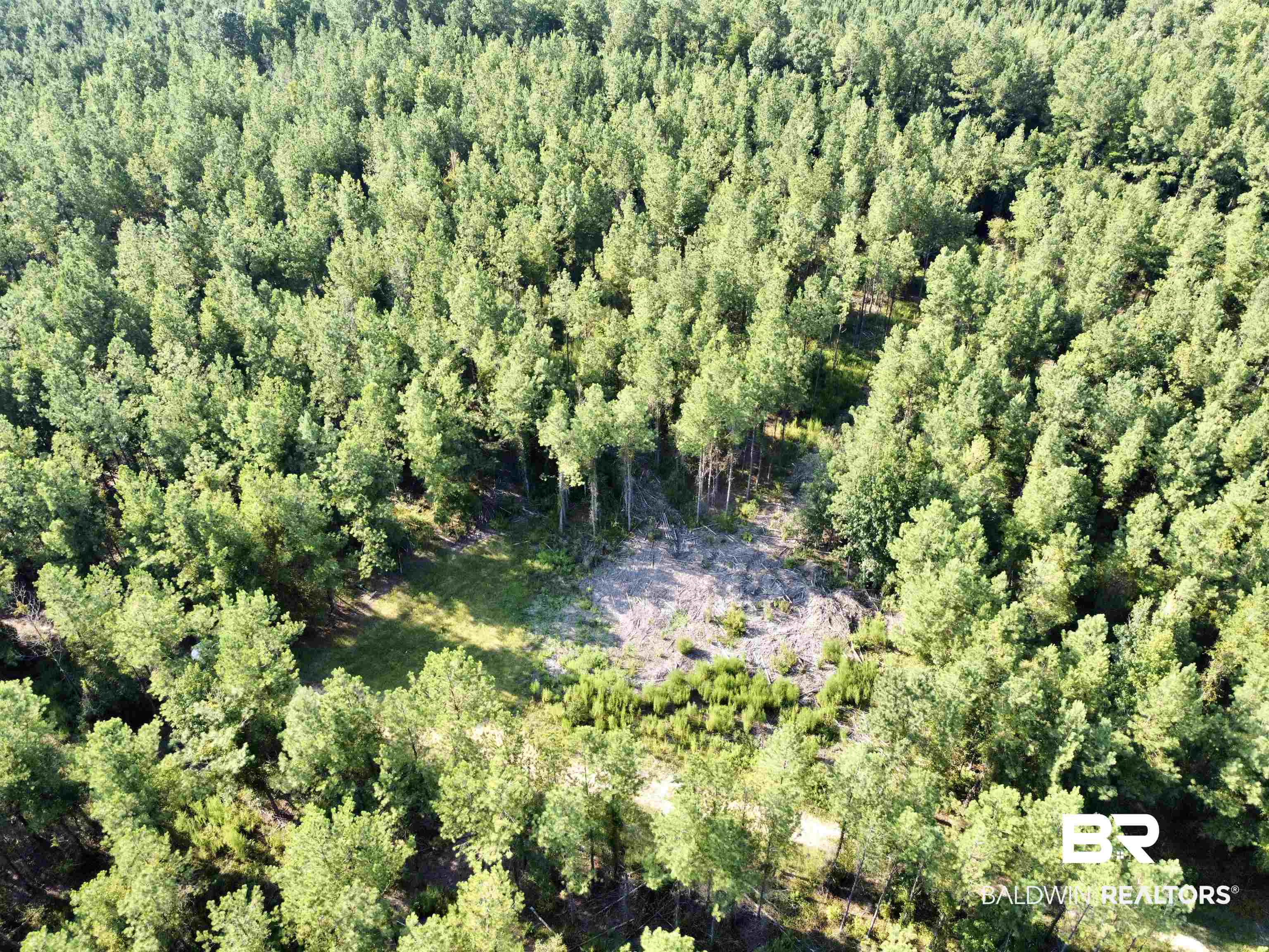 0 County Road 11 Repton, AL 36475 - Photo 4 of 34