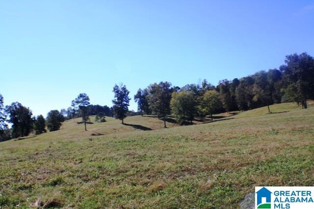 1785 Nunnally Lake Road Ohatchee, AL 36271 - Photo 35 of 50