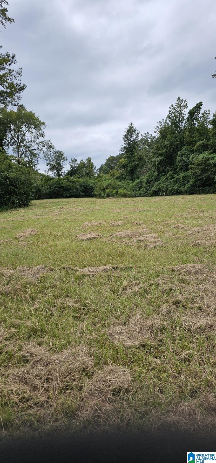 10857 Highway 17, Unit 2 ALABASTER MUN OF R2 Montevallo, AL 35115 - Photo 7 of 8