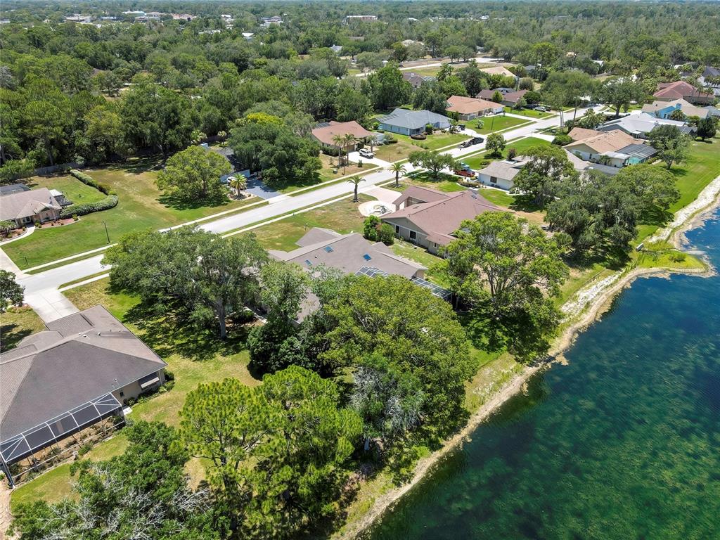 4293 River Birch Drive Spring Hill, FL 34607 - Photo 75 of 79