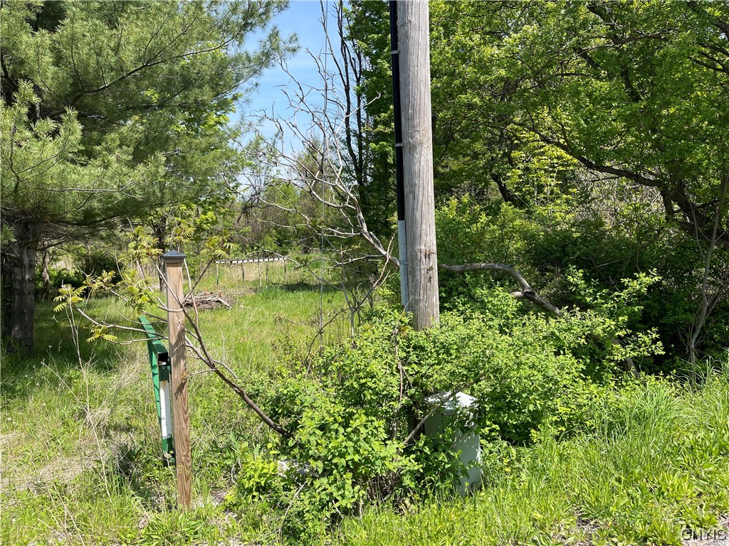 0 Herman Road Warners, NY 13164 - Photo 2 of 7