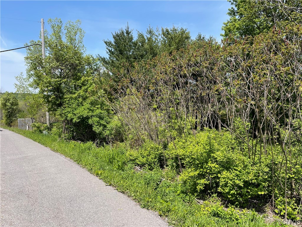 0 Herman Road Warners, NY 13164 - Photo 3 of 7