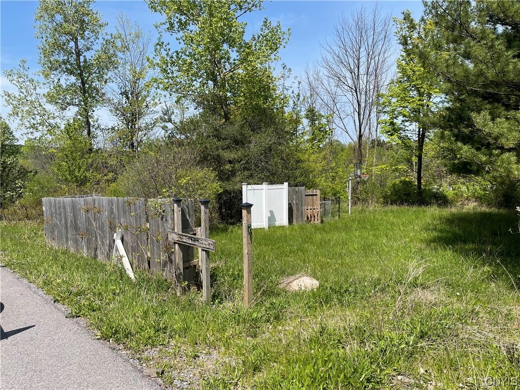 0 Herman Road Warners, NY 13164 - Photo 4 of 7