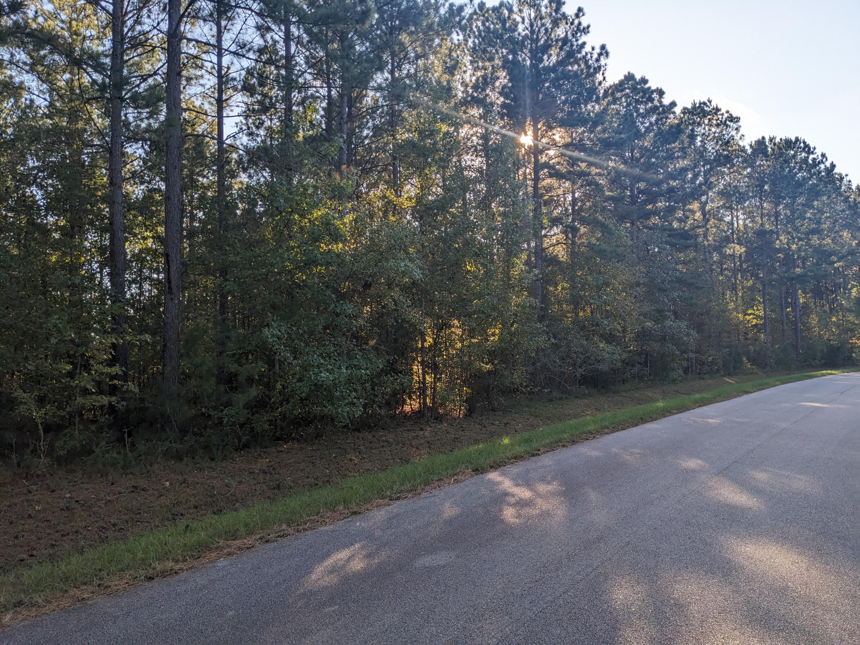 0 Bill Dorn Road Appling, GA 30802 - Photo 8 of 11 PXL_20241016_211351630