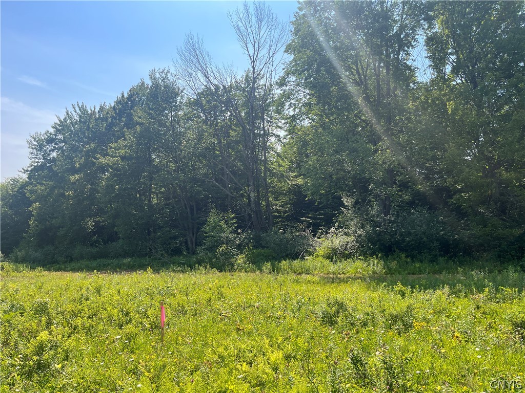Center Road Lacona, NY 13083 - Photo 16 of 38